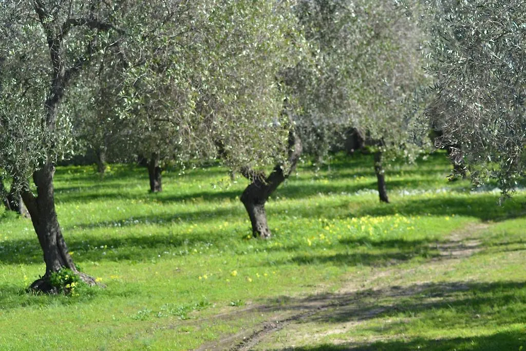Casa Masia Konuk evi Alghero 0*,  İtalya